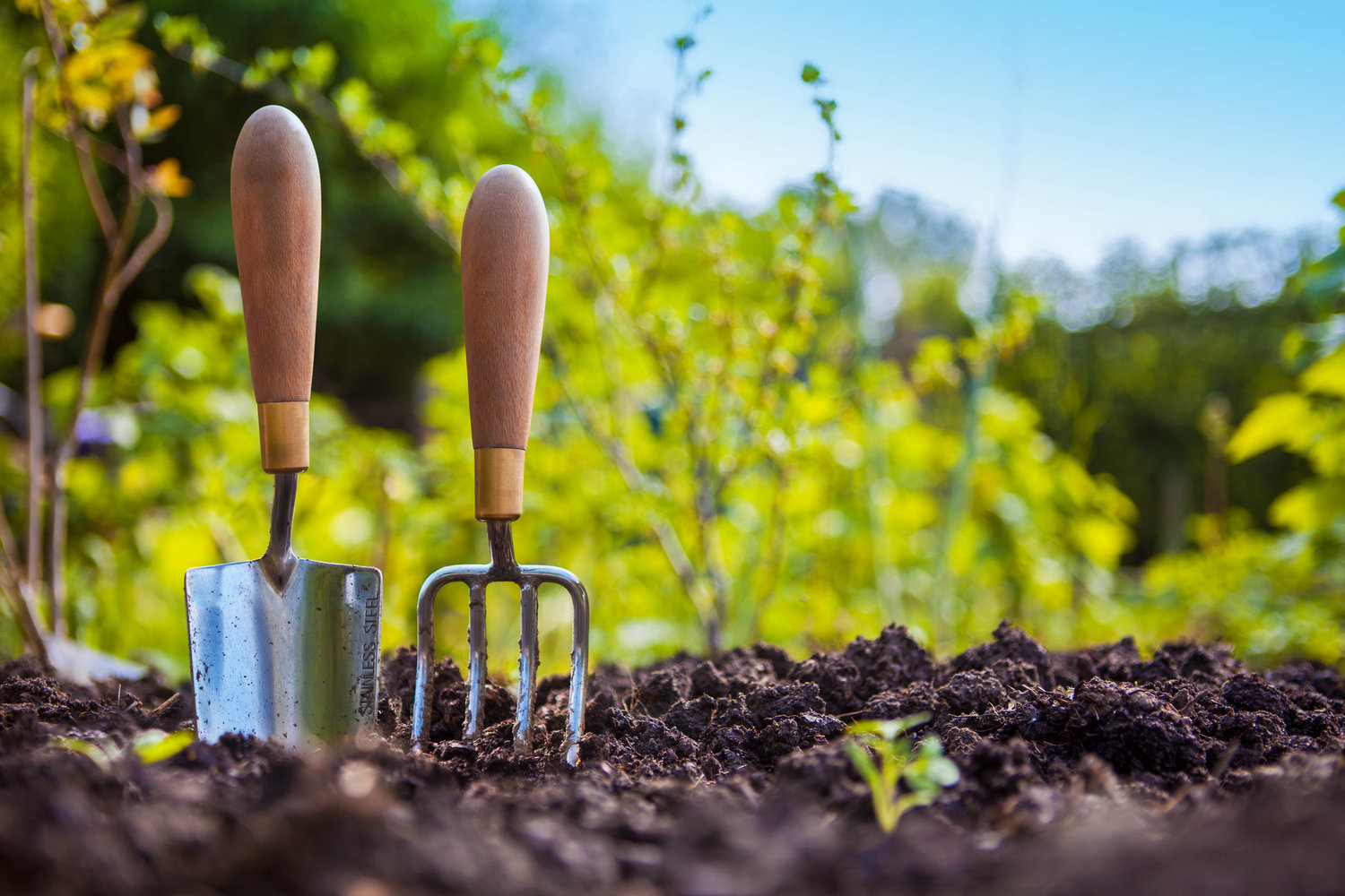  The right tools for the job will help get your garden ready for spring. 