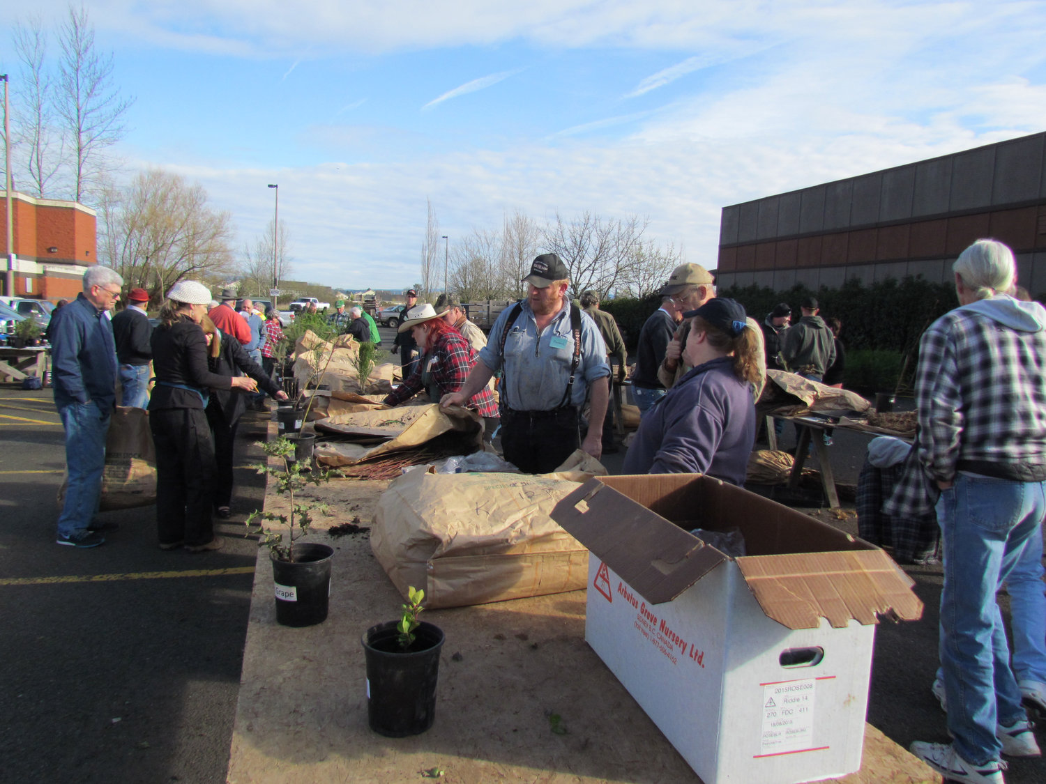 Members of the Master Gardener program of Washington State University will be on hand at the sale  to answer questions about planting and caring for trees. 