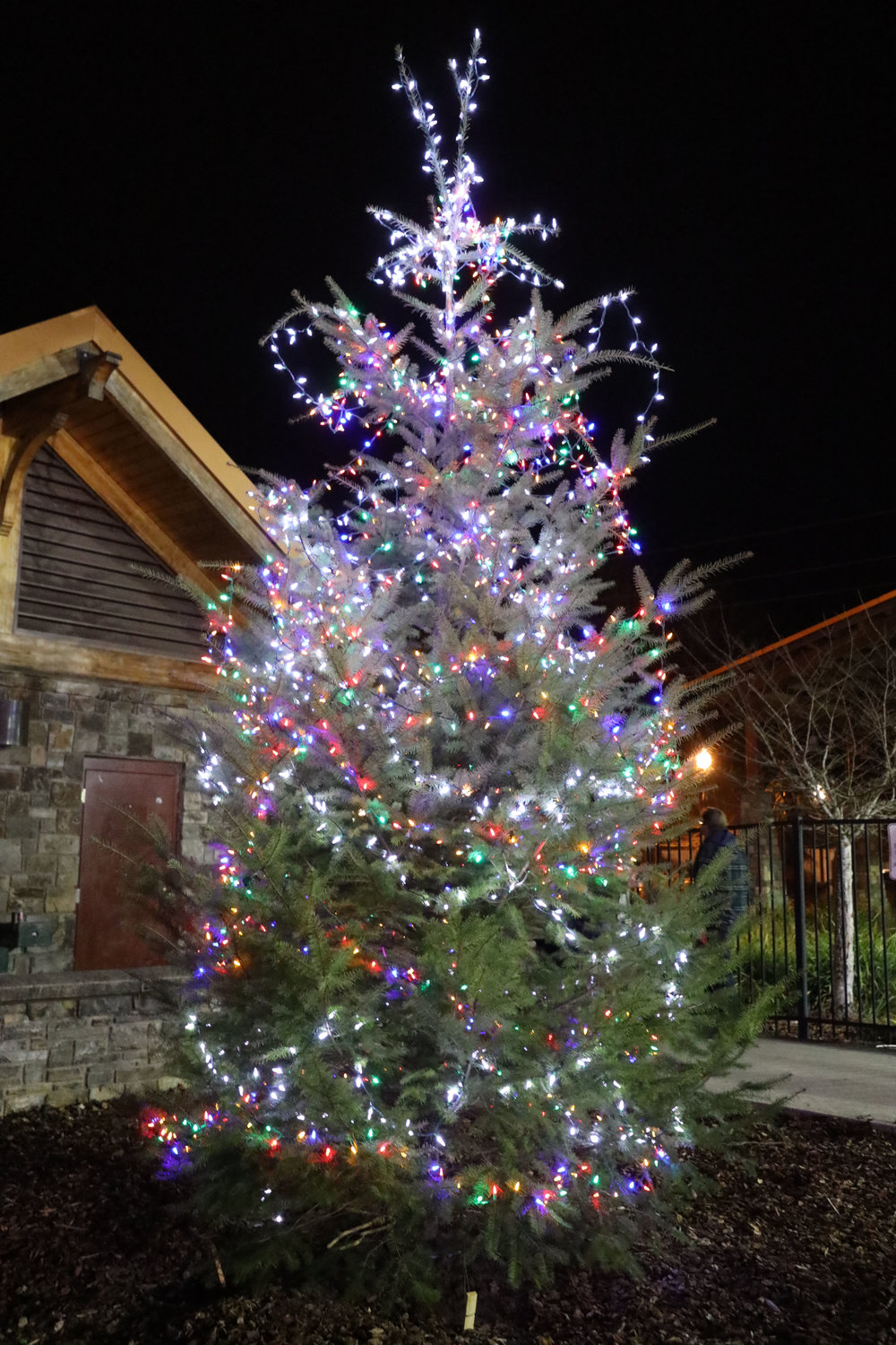 One of the trees decorated for the Battle Ground annual tree lighting is seen here.