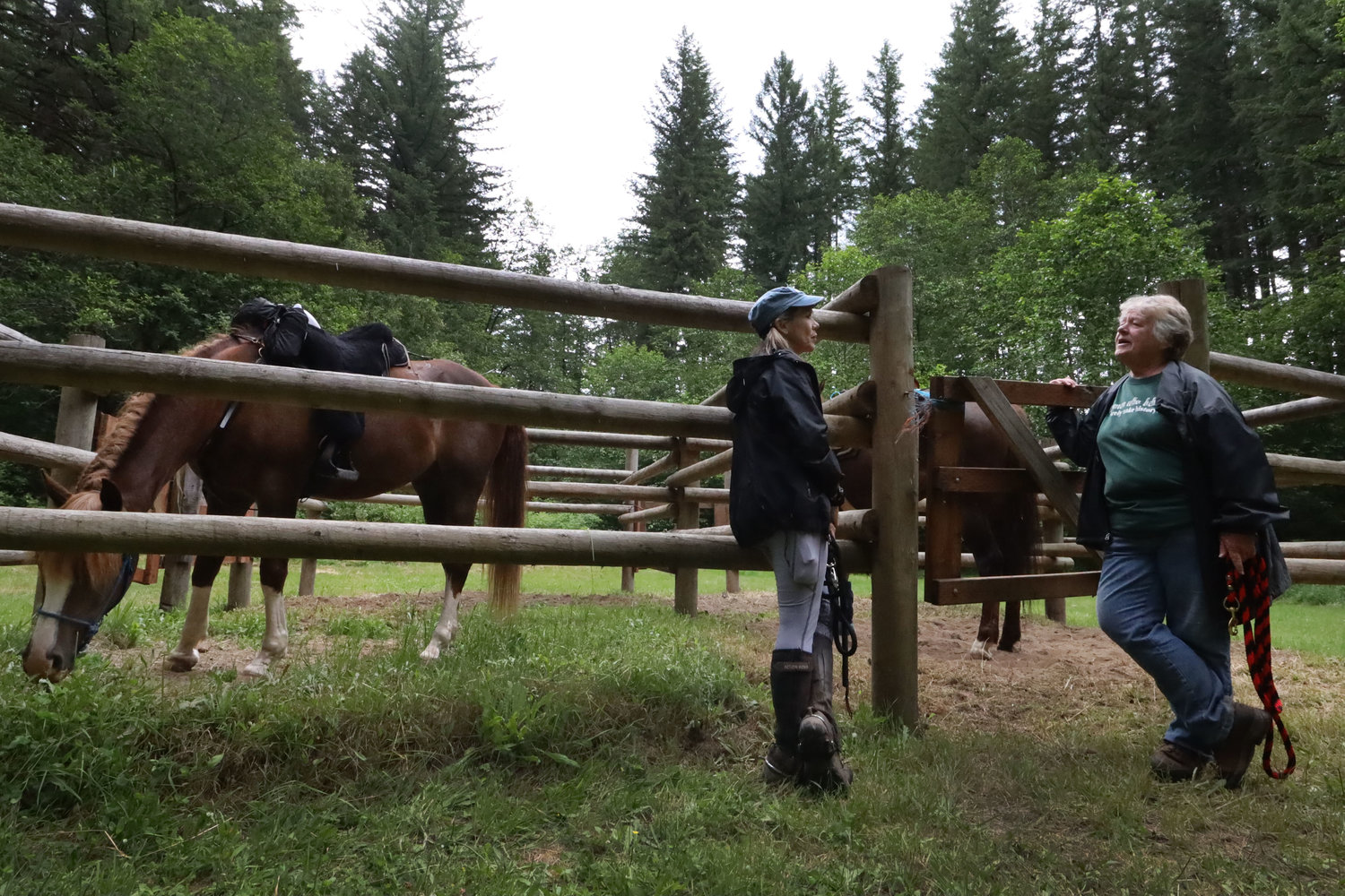 Left to right: Tani Bates and Barbra Thomas stop to visit while their horses are in the horse paddock at Rock Creek Horse Camp in Yacolt June 25.