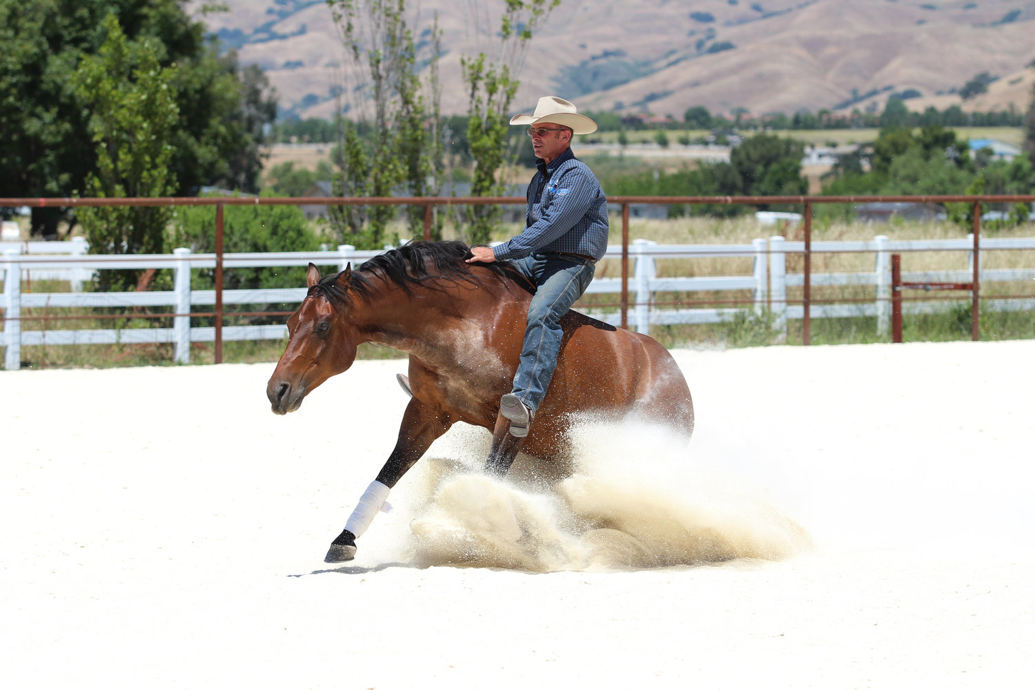 International horse trainer Warwick Schiller brings Petey the horse to a stop during a recent training session. 