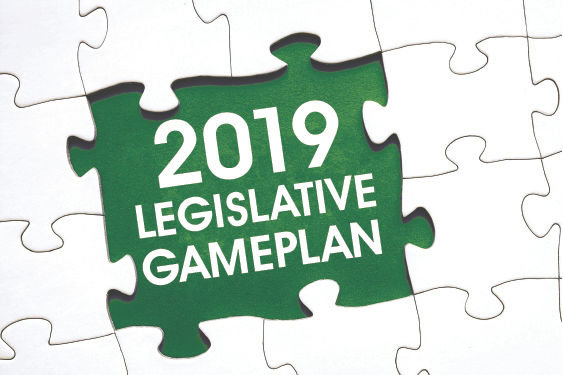 2019 Legislative Gameplan.jpg