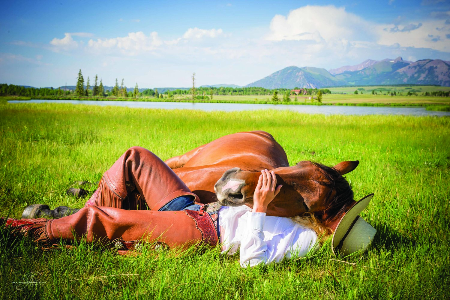 Terk, Madison Shambaugh's  2015 Extreme Mustang Makeover Champion Mustang, lays his head on his owner during a break in their liberty training. 