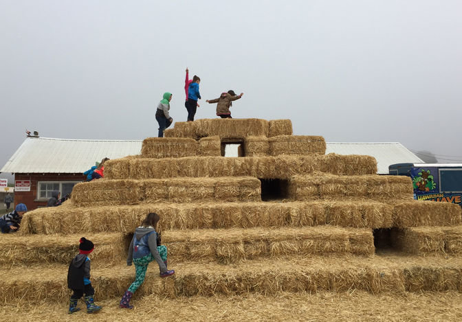 A handful of Washington Connections Academy students celebrate after summiting the hay pyramid.