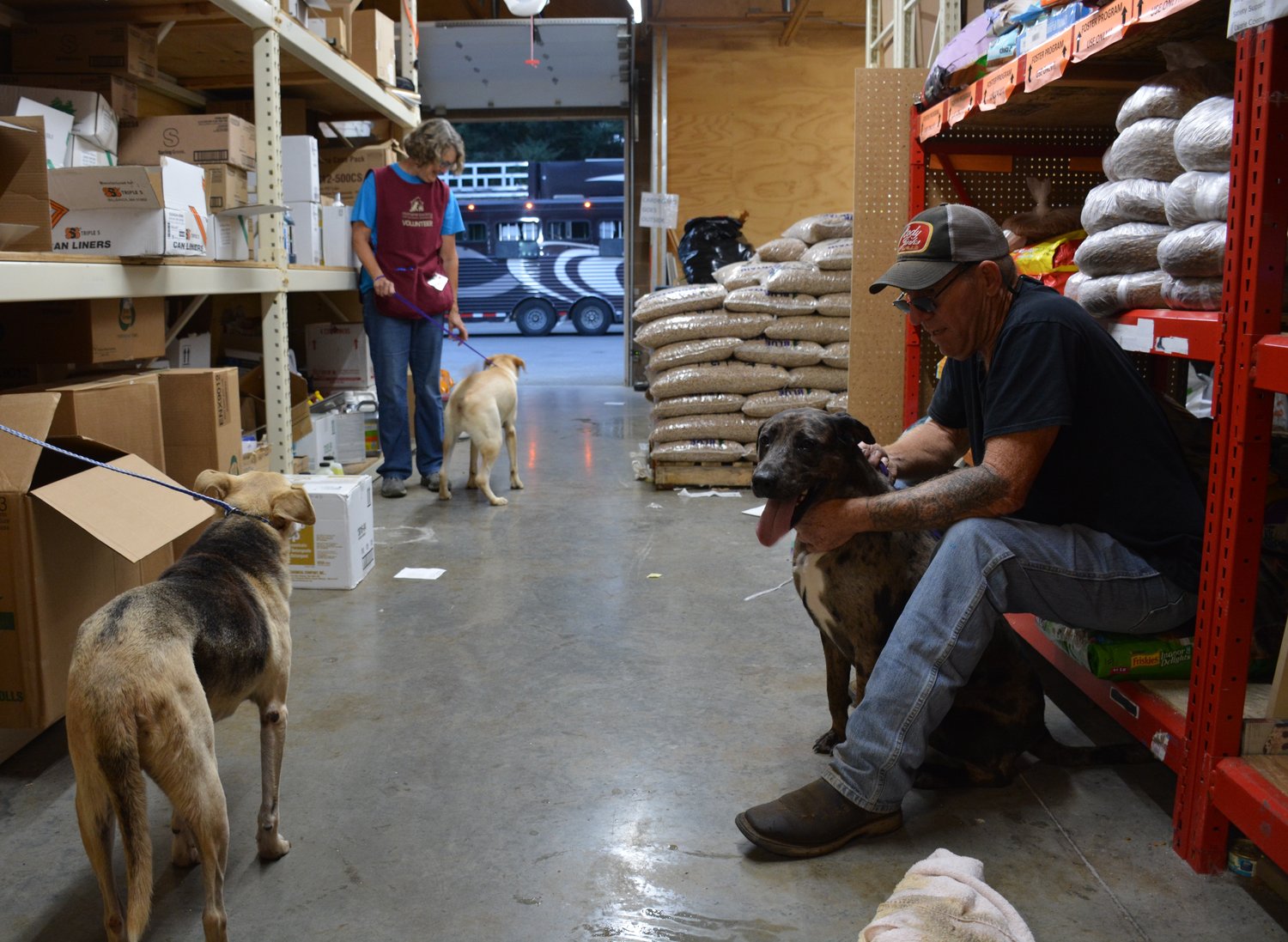Volunteer Philip Stockard, right, along with a Humane Society of Southwest Washington volunteer, handles dogs from Texas brought to the shelter to free up space at shelters close to the area where Hurricane Harvey hit.