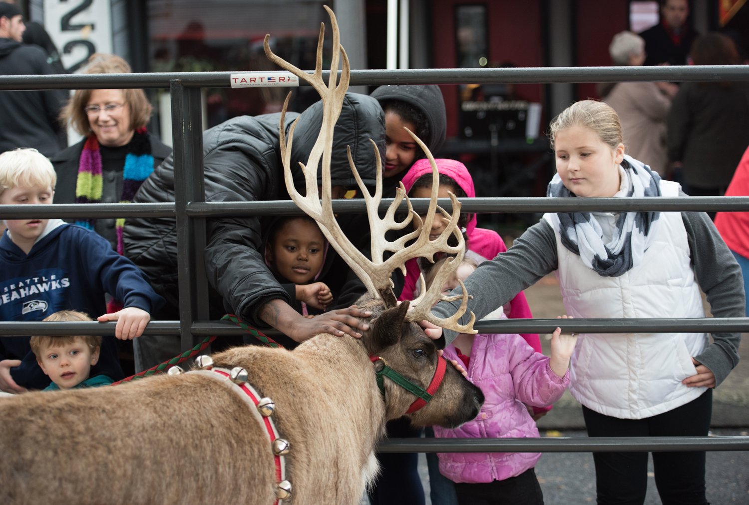 Children pet reindeer during the 2015 live reindeer Christmas block party at Vancouver’s Uptown Village.