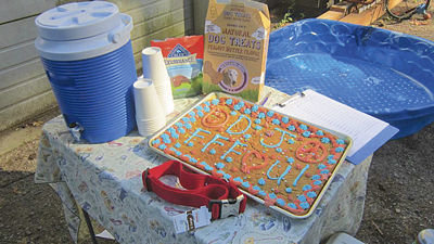 HOMEMADE TREATS AND beverages are put out for DJ the dog’s Fences for Fido fence-build in June of 2014. Nearly 20 volunteers assisted on DJ’s fence-build, which helped DJ get off his chain and into a 200-square-foot space, where he can play fetch and run free.