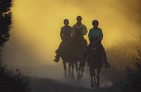 ENDURANCE RIDING is a unique equine event in which horse and rider teams compete over distances of 50 to 100 miles in one day. Limited distance events are 20 to 35 mile rides completed in one day.