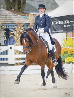 EQUESTRIAN JESSICA WISDOM rides her Welsh Cob stallion, North Forks Cardi, at the acclaimed Dressage at Devon competition in Southeastern Pennsylvania. The event draws Olympic-level riders, horses, trainers and judges from around the world.