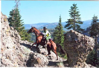 THE TEVIS CUP RIDE, an annual 100-mile endurance horse ride, challenges horses and riders with elevation changes of 15,540 feet in climbs and approximately 22,970 in descents before the horses and their riders reach the town of Auburn, CA. The ride follows a rugged portion of the Western States Trail, which stretches from Salt Lake City, UT, to Sacramento, CA.