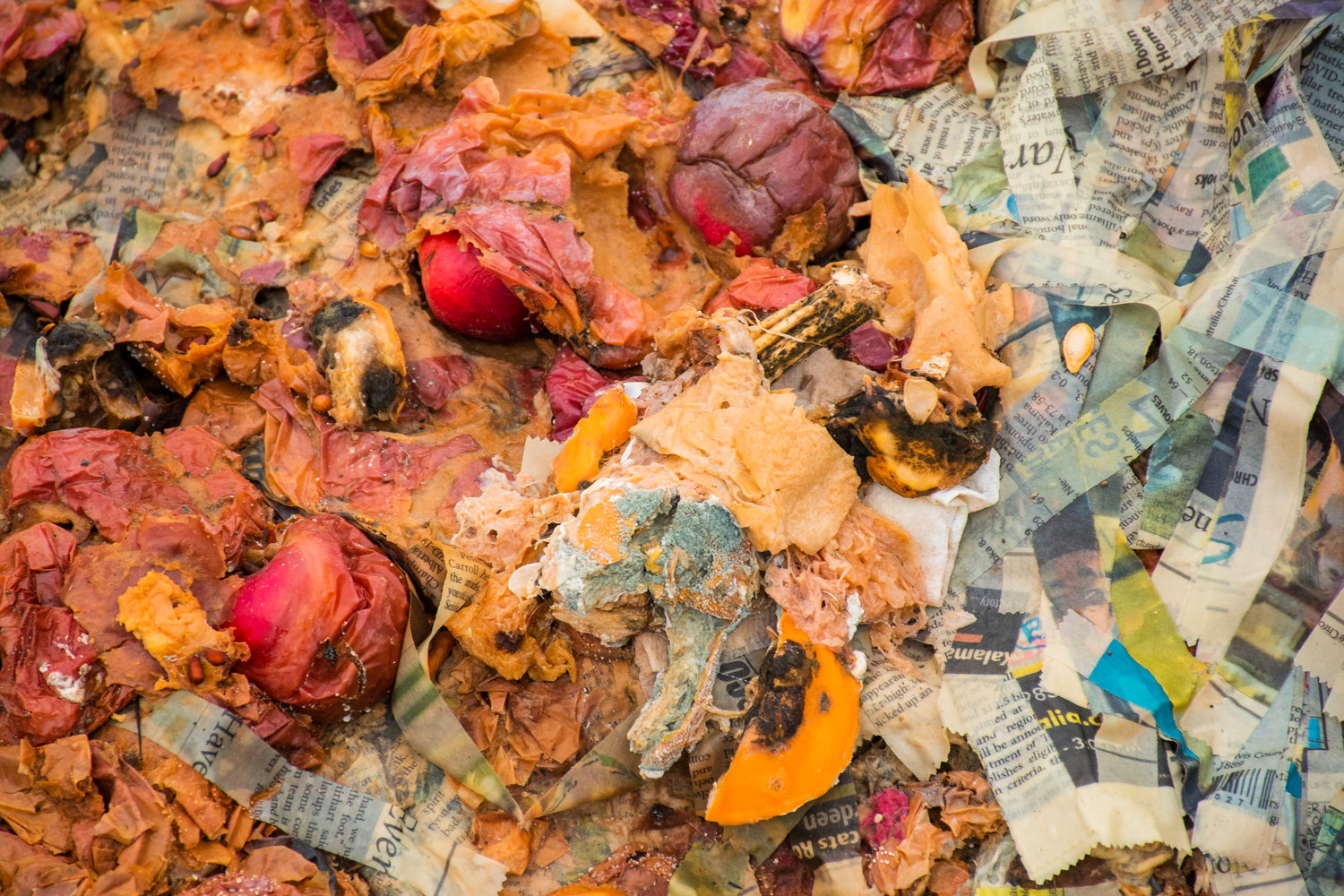 Fruit composted with newspaper clippings is pictured in this file photo.
