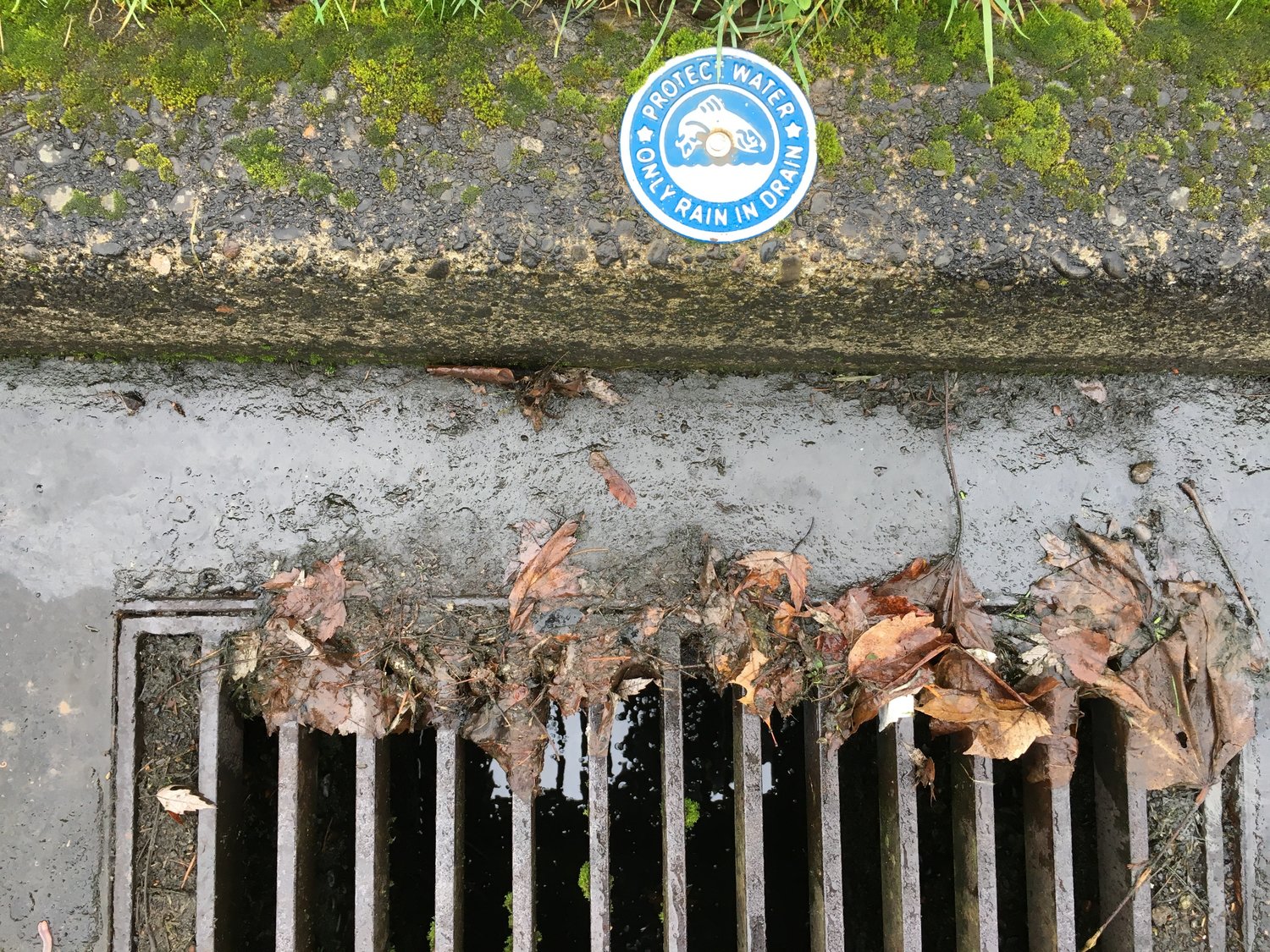A sewer grate in Clark County reads “Protect Water, Only Rain in Drain.”