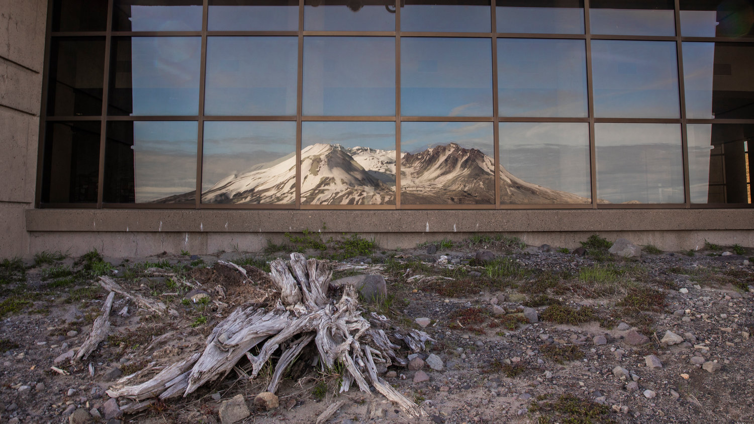 Mount St. Helens is seen in the reflection of windows on the Johnston Ridge Observatory on June 8.