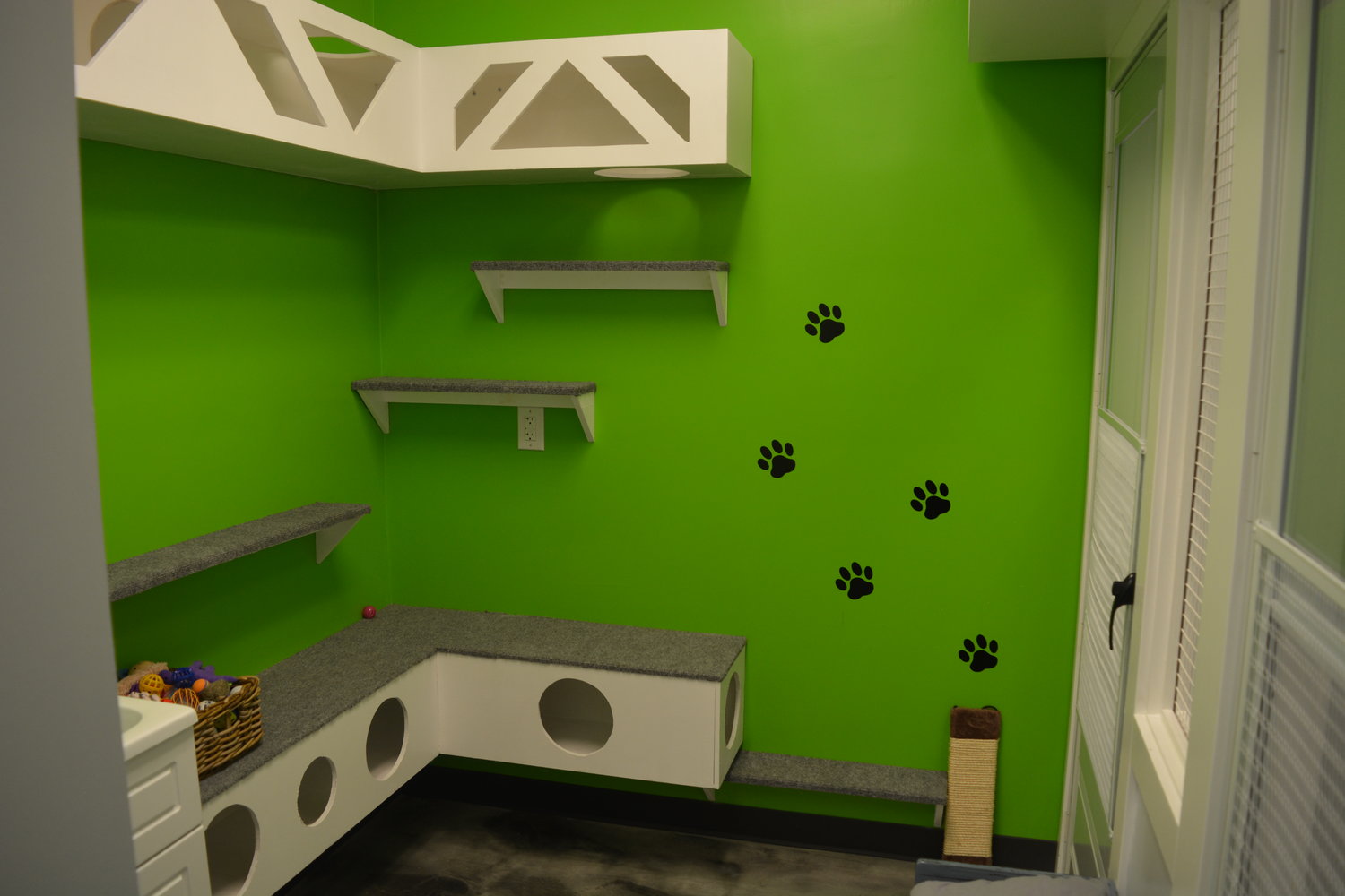 A deluxe suite of the cat hotel at All Natural Pet Supplies is pictured on June 22.