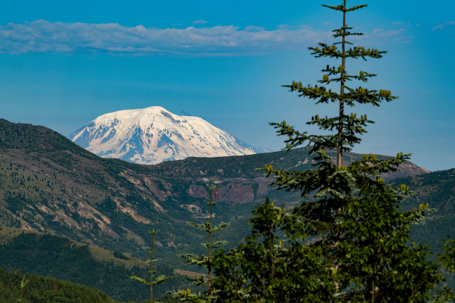 Mount Adams is seen from Spirit Lake Highway on Tuesday, July 12, 2022.