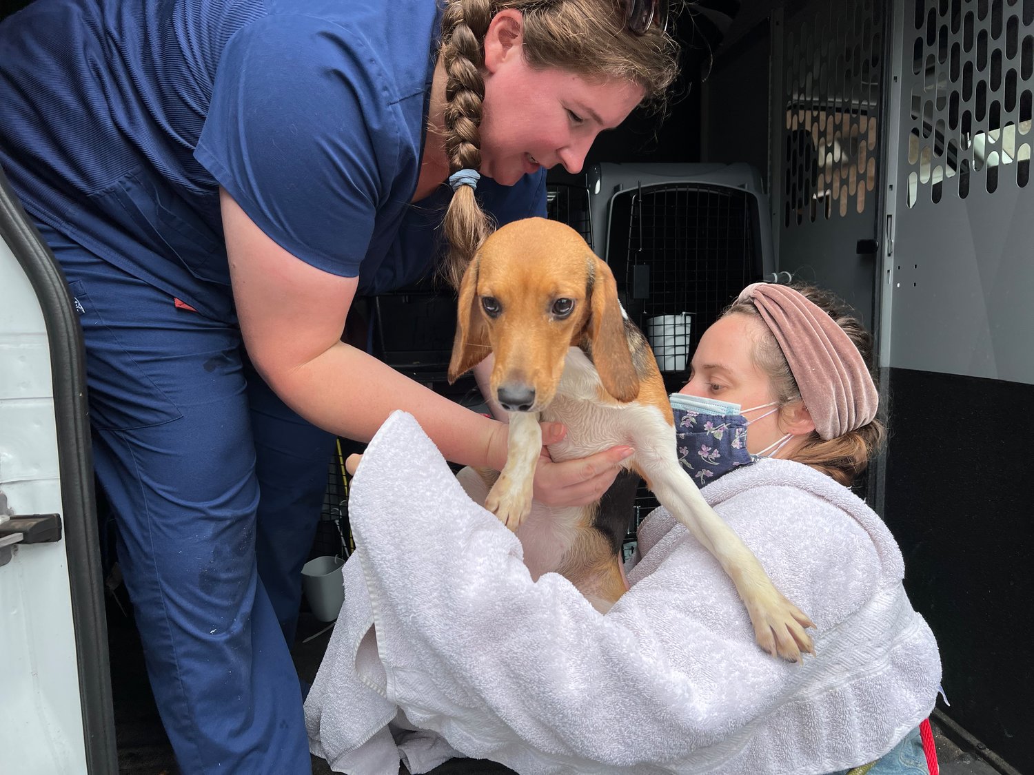 Humane Society for Southwest Washington Director of Animal Care and Population Liz Everling, left, and animal care technician Kristi Rivers handle one of 15 beagles as they arrive at the shelter on Aug. 20.