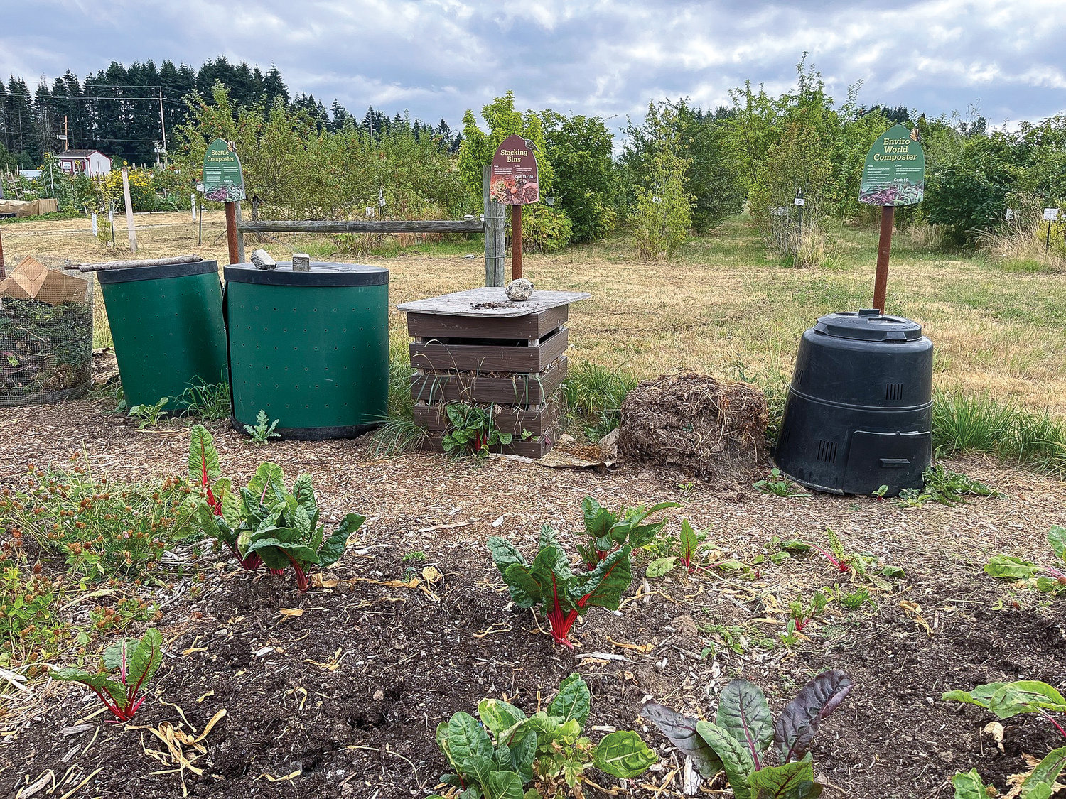 Unused food during the holiday season can be placed in backyard compost bins.