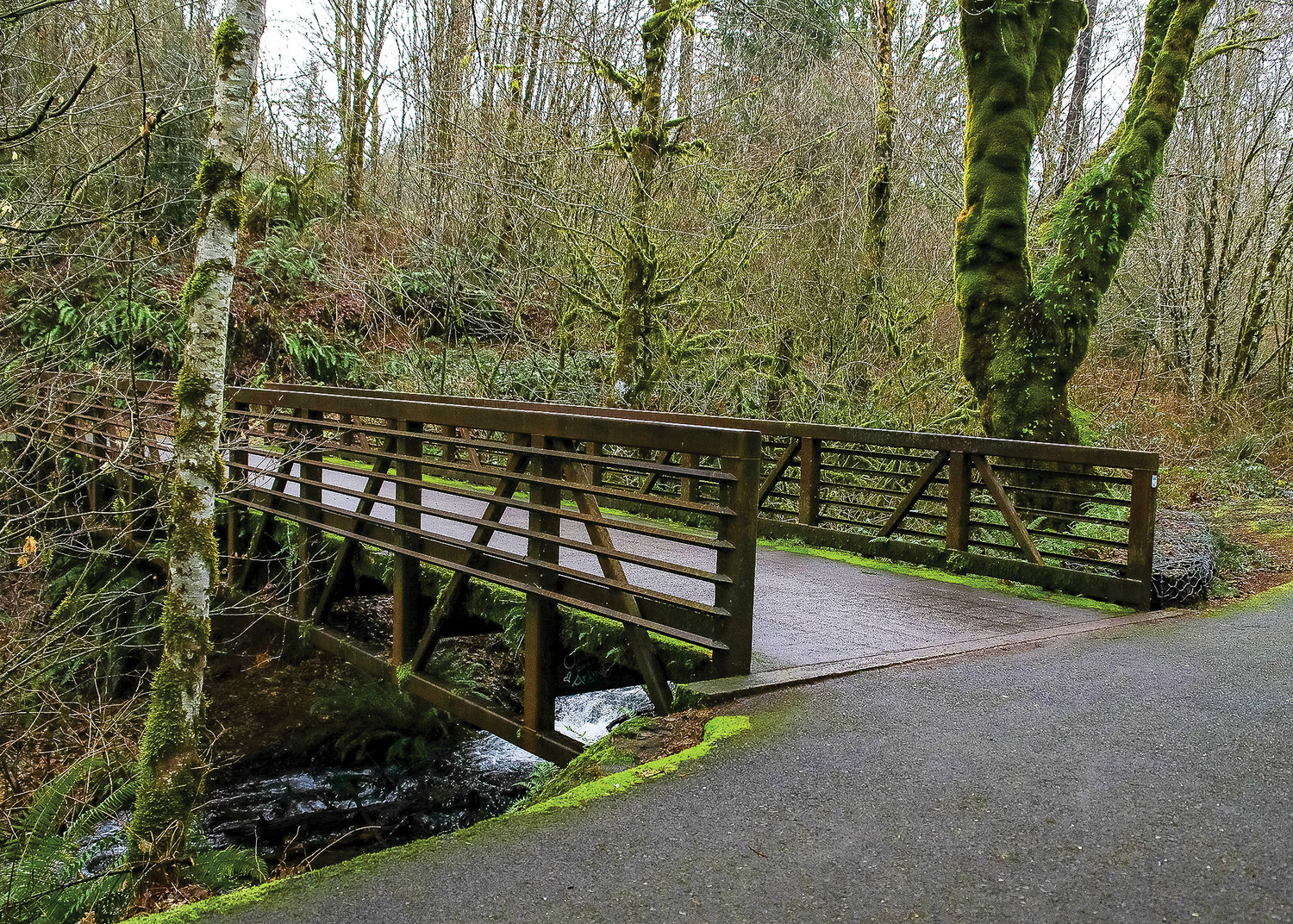 A bridge on the Hantwick Trail crosses a tributary of the East Fork Lewis River.
