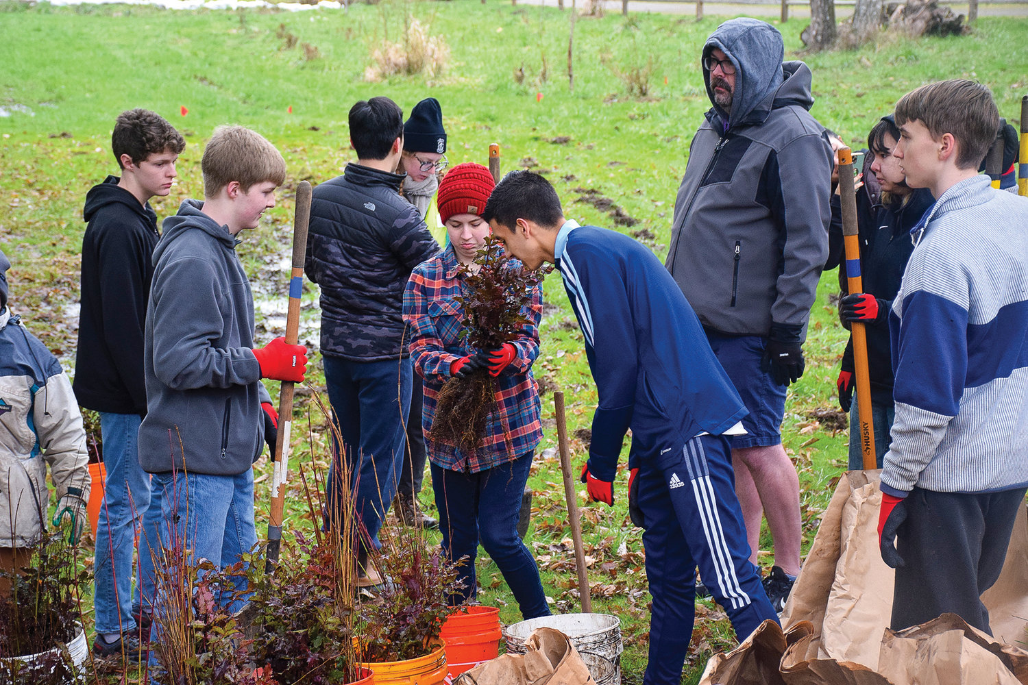 Volunteers gather shrubs and trees to plant along the bank of Gee Creek at Abrams Park in Ridgefield on Feb. 17.