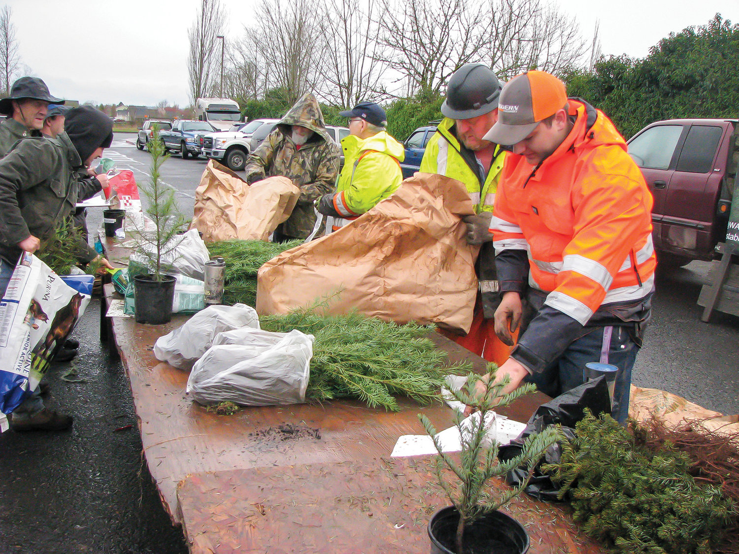 The popular tree seedling sale will take place again this year on Saturday, March 18, at the parking lot of Albertsons in Battle Ground. Around 30 members of the Clark County Farm Forestry Association will be on hand to conduct the sale which benefits forestry projects and scholarships.
