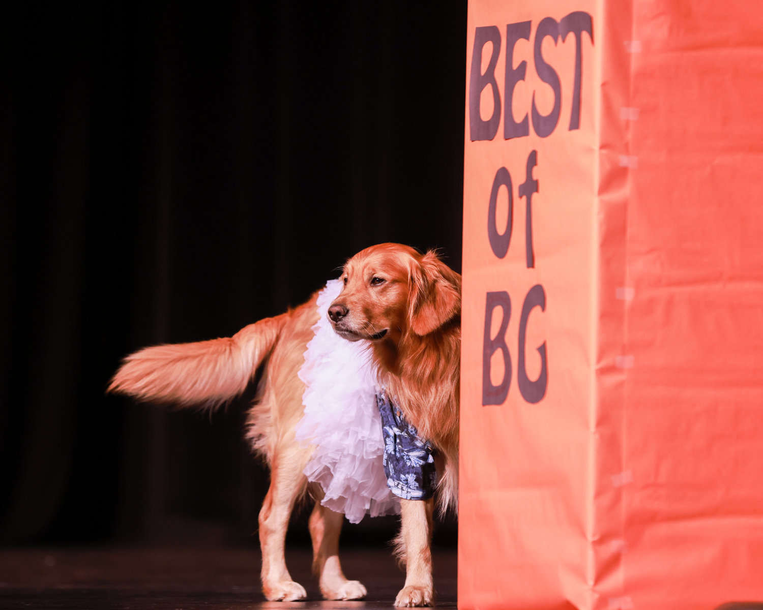 Contestant Morgan Nixon brought her dog to the beach wear portion of the Best of BG event at Battle Ground High School on Saturday, March 25.