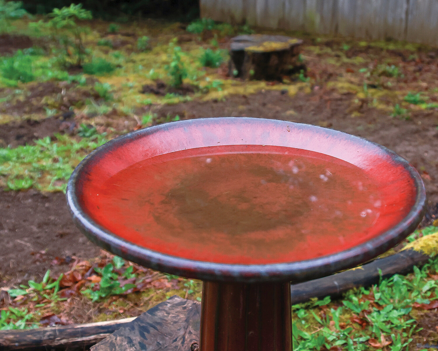 It is strongly suggested that bird baths be cleaned on a weekly basis to eliminate mosquito larvae.