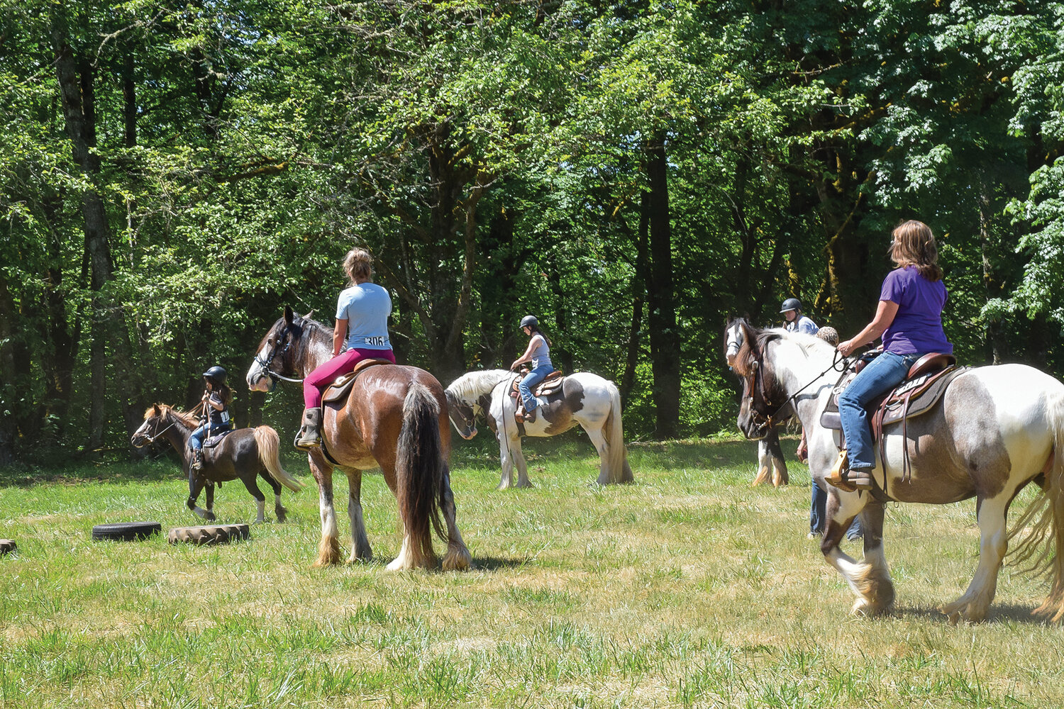 Horses and riders regroup ahead of another obstacle during the Clark County Saddle Club’s trail course event on June 3.