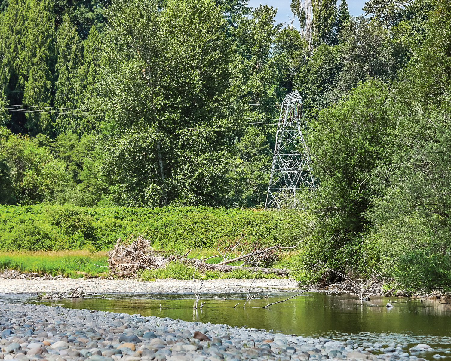 A Bonneville Power Administration utility tower stands among lowlands at the “Ridgefield Pits” along the East Fork Lewis River on July 11.