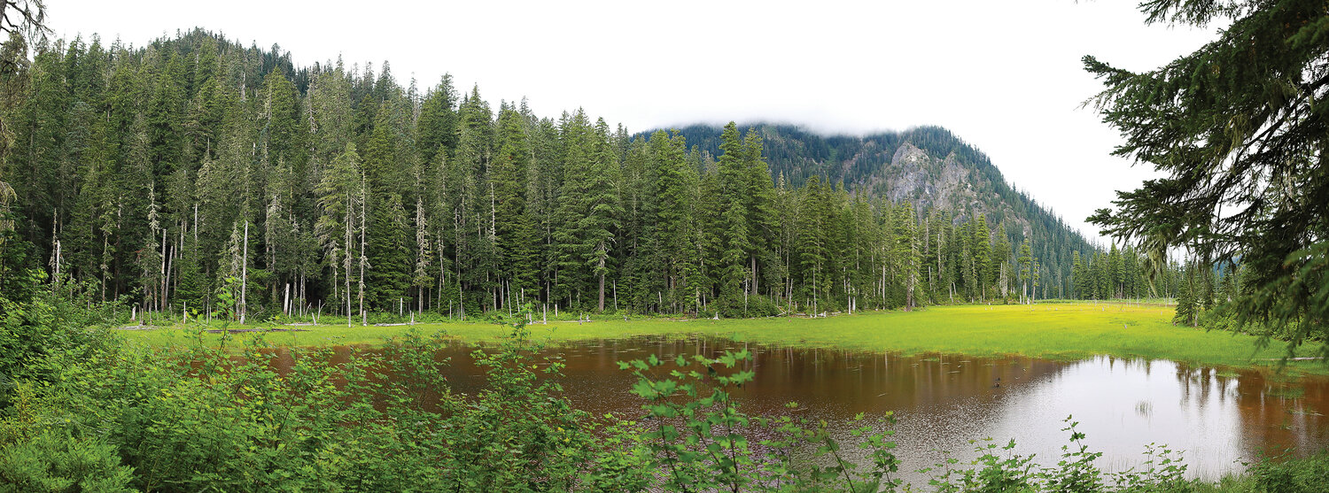 A panoramic view of the Goat Marsh wetland and Goat Mountain during a cloudy morning on Thursday, Aug. 10.