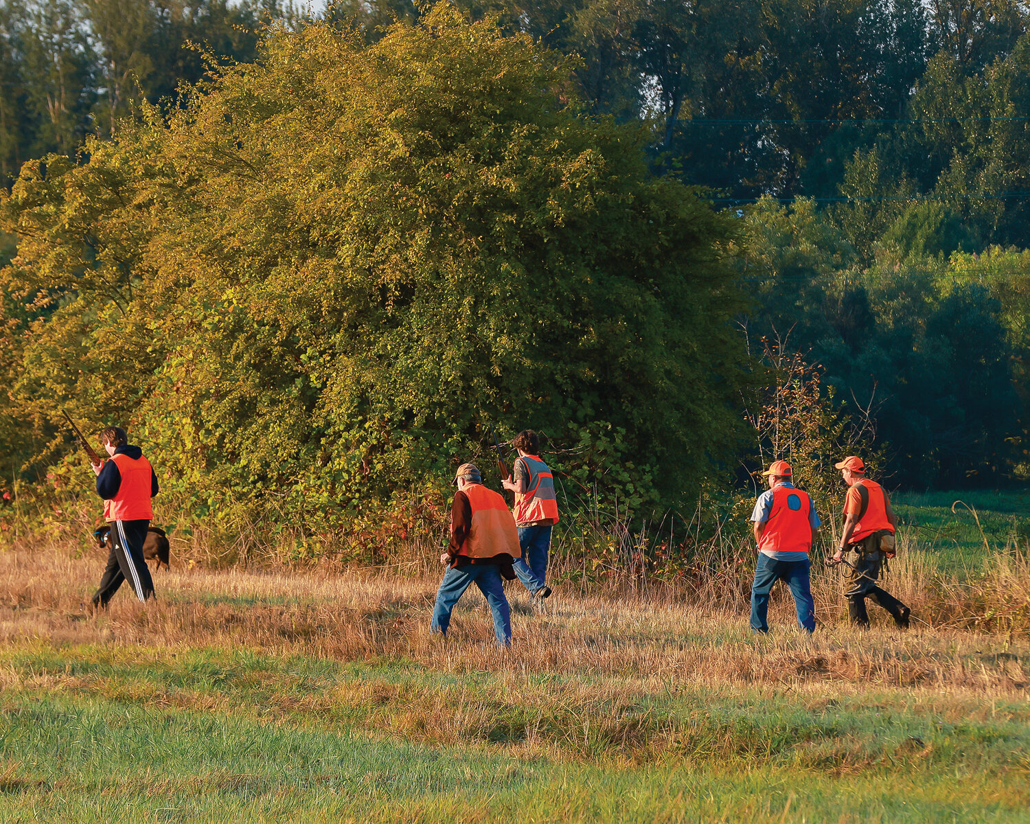 Hunters take to the field on Saturday, Sept. 16 in hopes of shooting the limit of two pheasants during the youth pheasant hunt at the Shillapoo Wildlife Area near Vancouver Lake.
